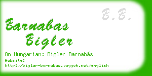 barnabas bigler business card